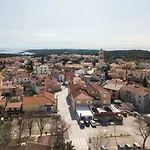 Lavanda *